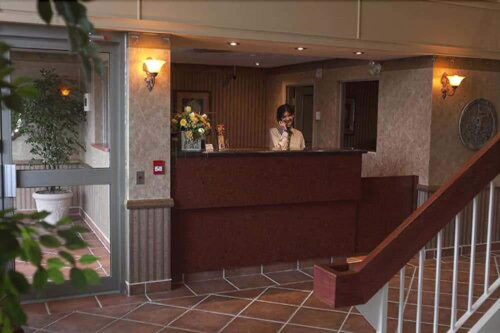 Stay Inn Hotel טורונטו מראה פנימי תמונה